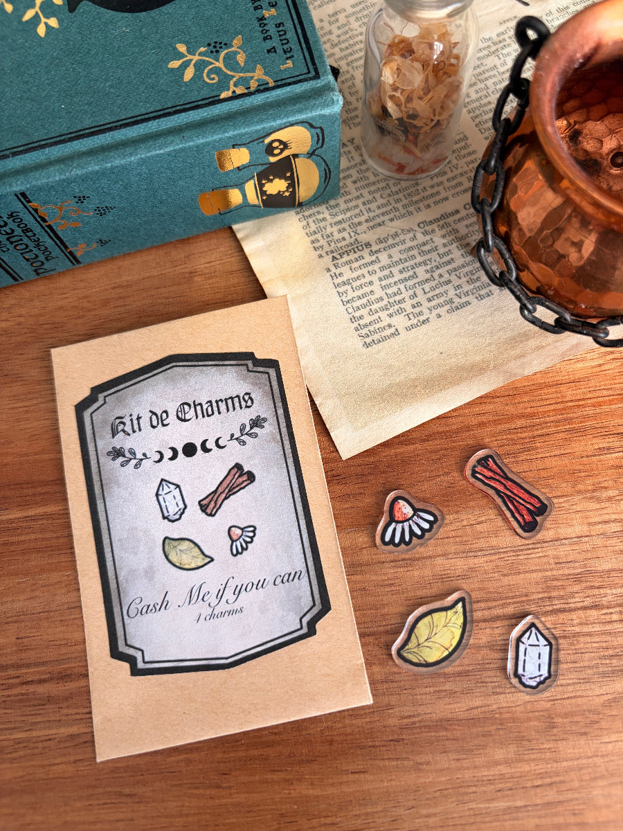 Kit de Charms - Cash Me If You Can (Potion Me!)
