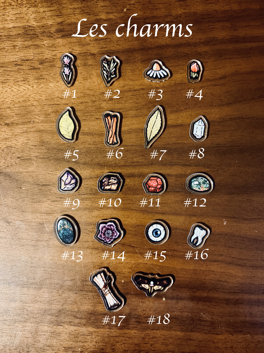 Kit de Charms - Personnalisé (Potion Me!)