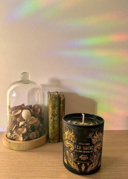 Suncatcher "Loutre Cosmique" ~ Attrape-soleil